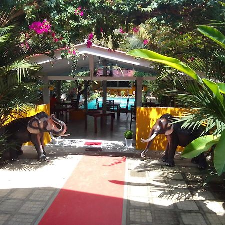 La Perla Bentota Hotel Ngoại thất bức ảnh