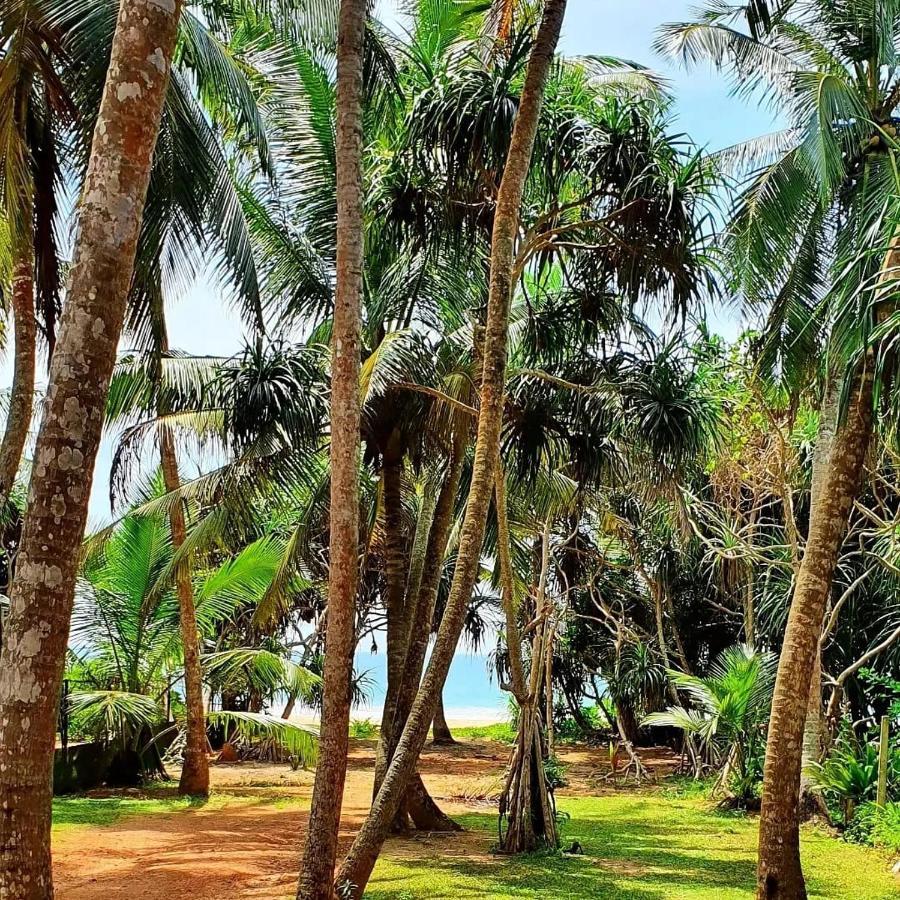 La Perla Bentota Hotel Ngoại thất bức ảnh