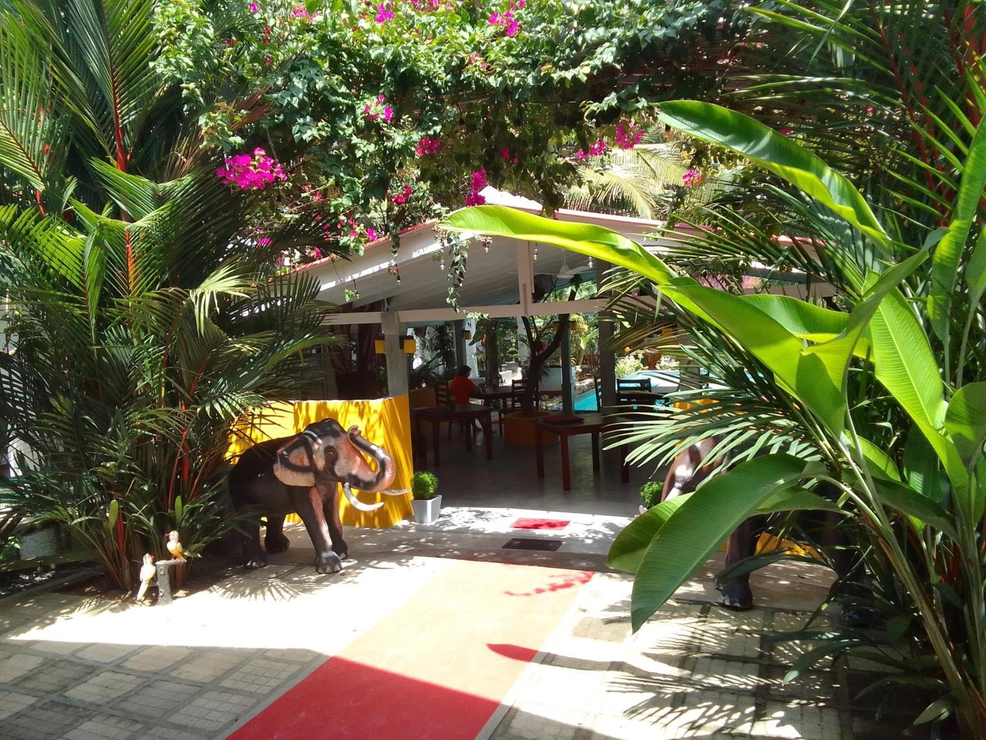 La Perla Bentota Hotel Ngoại thất bức ảnh