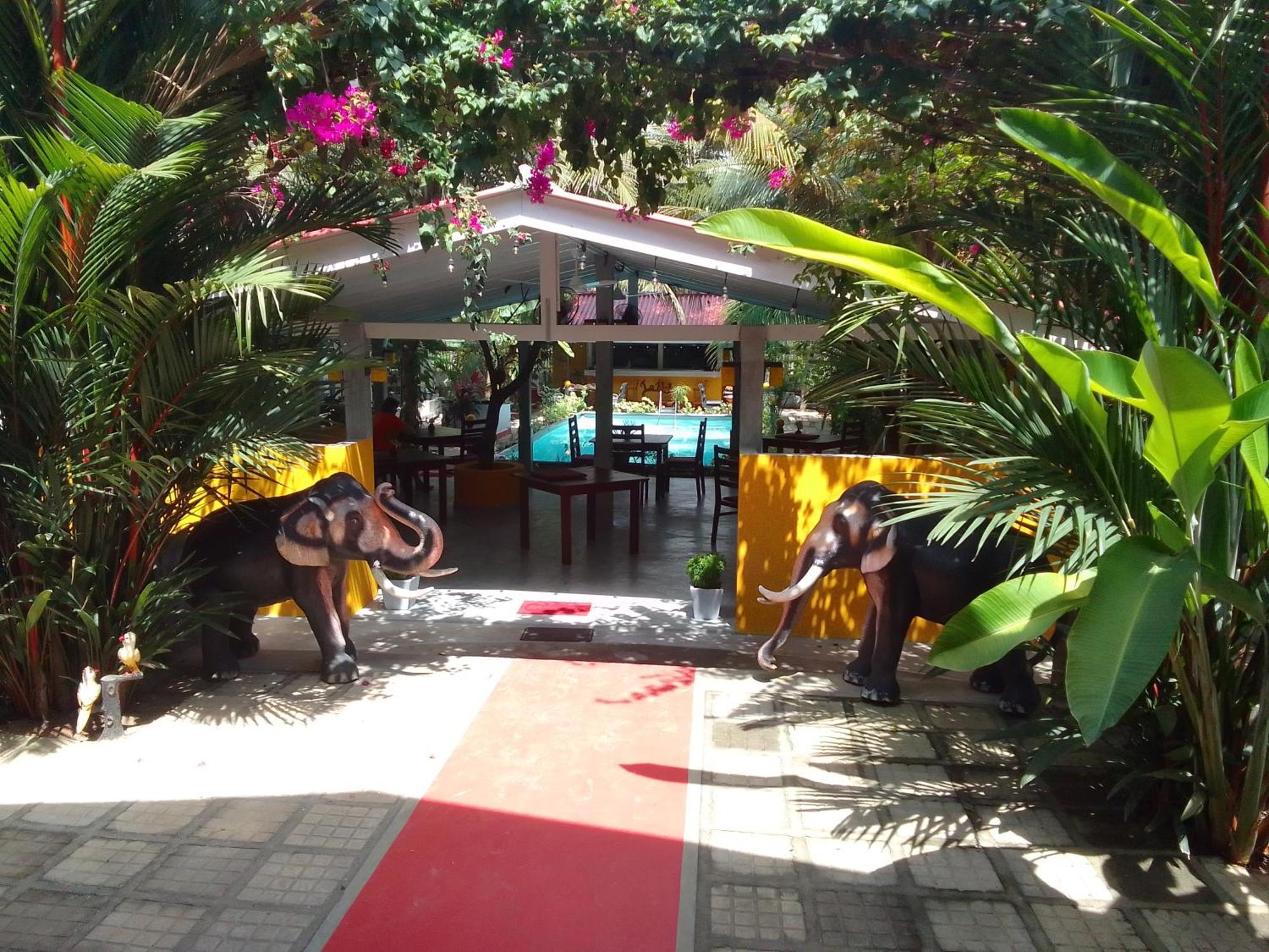 La Perla Bentota Hotel Ngoại thất bức ảnh